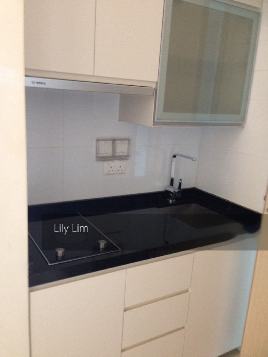 Opal Suites (D12), Apartment #134617602
